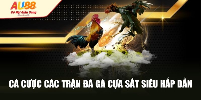 Cá cược các trận đá gà cựa sắt siêu hấp dẫn