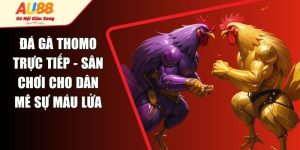 Đá Gà Trực Tiếp Thomo - Sân Chơi Cho Dân Mê Sự Máu Lửa